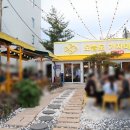 오늘의강아지 | 영일대 맛집 물회 추천 오늘도 가자미 강아지 동반 후기