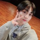 정원태권도 이미지