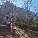 곡성-135 이미지