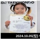 부산대석사태권도 이미지