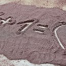 행복여인숙 이미지