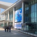 제리펫 | #1 충격! 이불 덮고 자는 도마뱀 실존? 펫테일게코 제리 입양기
