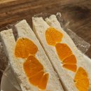 법환동-19 이미지