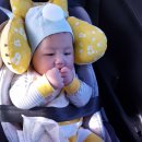 대호보조기상사 이미지