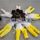 다움태권도장 이미지