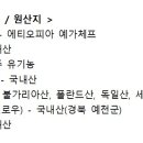 타우카페 이미지