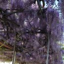 냉천어촌체험마을 이미지