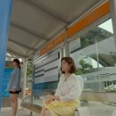 삼산 이미지