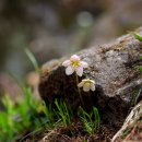 포도송이펜션 이미지