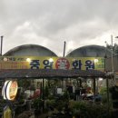 중앙꽃화원 - 남구 문수로 472 | 중앙꽃화원