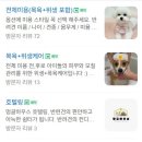 멍글하우스 이미지