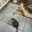 신산1리 이미지