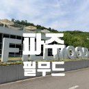 필 | [경기 파주] 파주 데이지 명소 필무드 카페 후기(5월 둘째주 데이지현황)