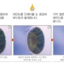 레인드롭 이미지