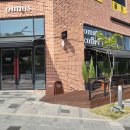 옴누스(omnus) 이미지