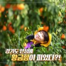 제이지서울내과의원 네이버블로그