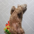 크리애헤어