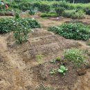 진척농장 이미지