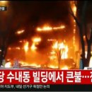 분당-12 스포츠경향
