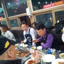 부산갈메기 이미지