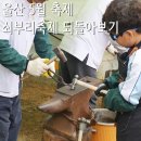 달천철장 전시관 | 울산 5월 축제, 북구 달천철장 2025 울산쇠부리축제 되돌아보기