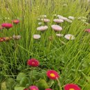 김해삼계공인중개사사무소 이미지