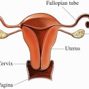 첨단한방병원 이미지