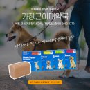 가장큰이대약국 이미지