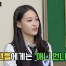 애니셀프 이미지