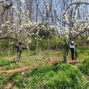 인천광역시농업기술센터 이미지