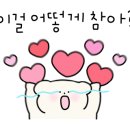오모트 이미지