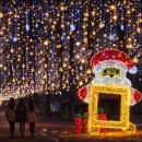 전라남도청년예술가협동조합 | 전남 담양 가볼만한곳 메타세쿼이아 산타 축제 소쇄원 웰니스 여행