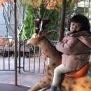 대하찹쌀아구찜 이미지