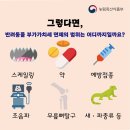 부가축산