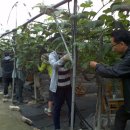 수원시농업기술센터 이미지