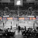 에스피코리아 이미지