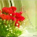 종로구민회관 이미지