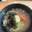 펜타포트국수나무 이미지