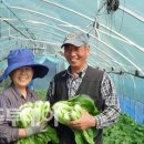 부원농장 이미지