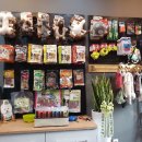 홍은애견미용 이미지