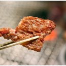 고려의숲 이미지