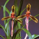 수채화B 이미지