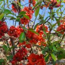 연합왕겨 | 경주 당일치기