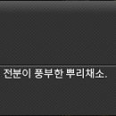 신대륙목장 이미지