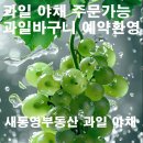 과일파는녀석들