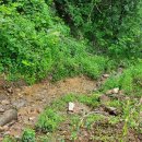 농막목장 이미지