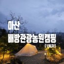 야호관광(주)