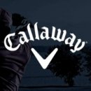 캘러웨이골프 이미지