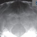 24시 청주이음동물의료센터 이미지