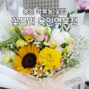 화분인간 | 용인 역북동 꽃집 꽃블리 용인역북점 24시간 수령 가능 꽃다발 후기
